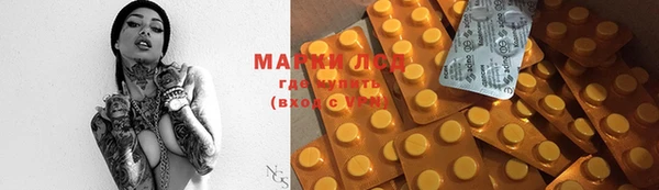 мяу мяу мука Аркадак