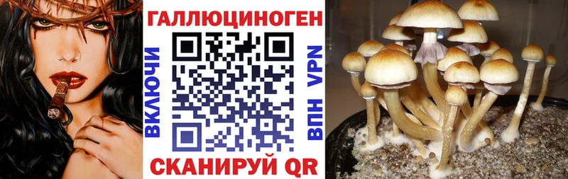 Галлюциногенные грибы Magic Shrooms  купить   Ряжск 
