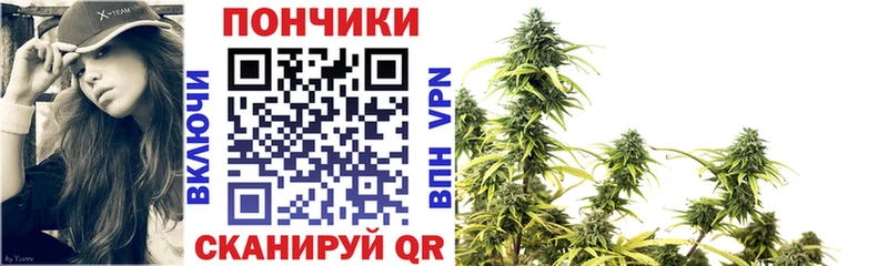 дарнет шоп  Ряжск  Конопля Bruce Banner 